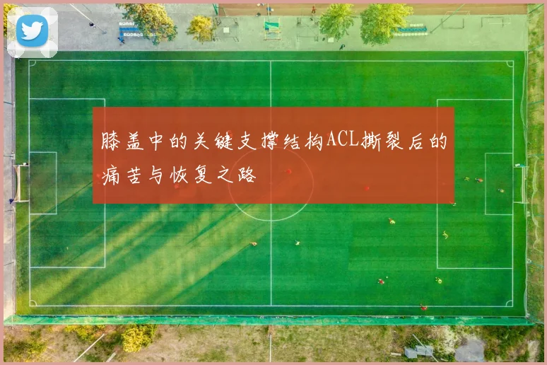 膝盖中的关键支撑结构ACL撕裂后的痛苦与恢复之路