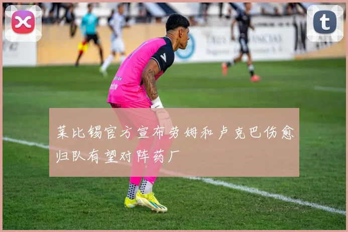 莱比锡官方宣布劳姆和卢克巴伤愈归队有望对阵药厂